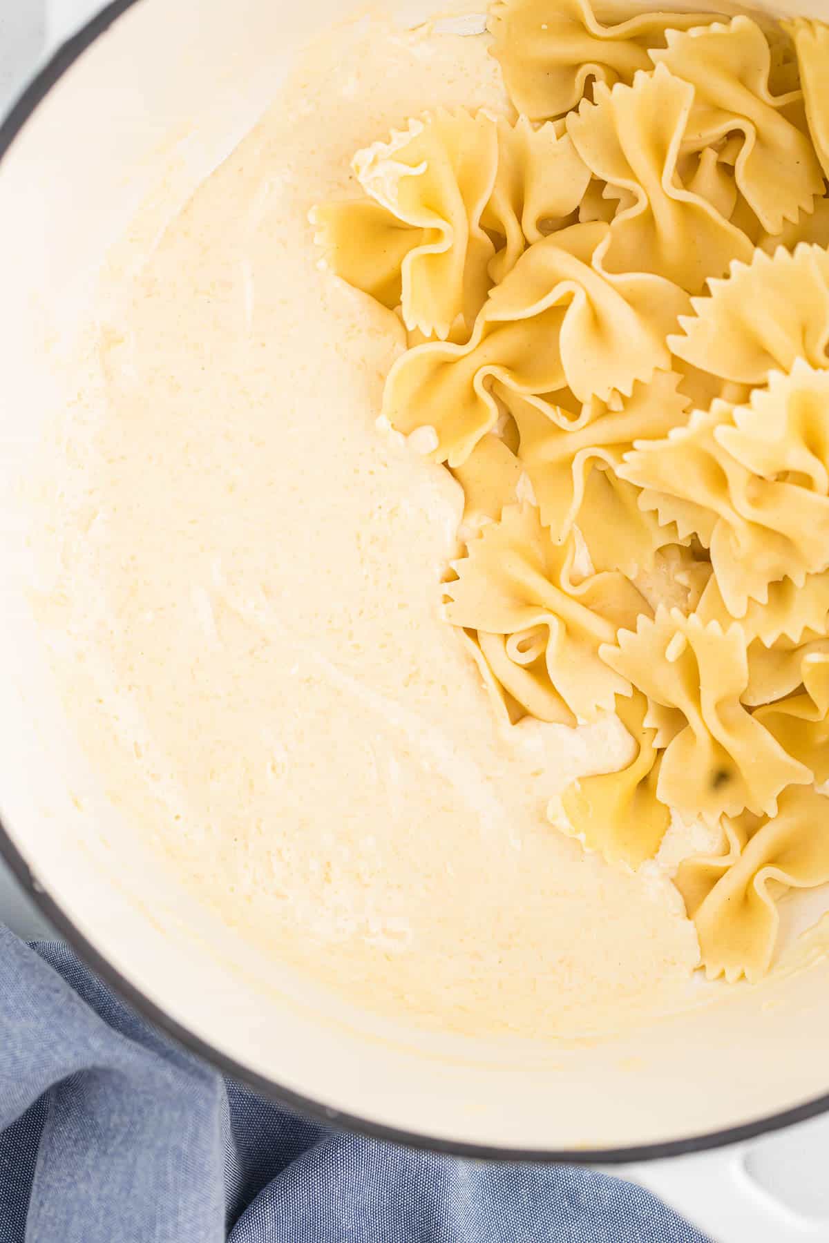 parmesan cream sauce with bowtie pasta