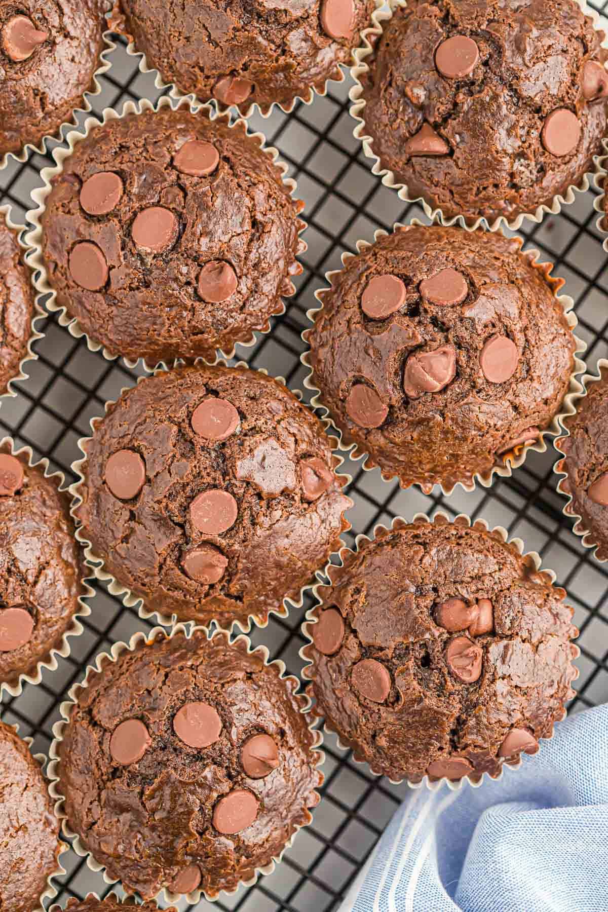 double chocolate muffins on a cooling rack