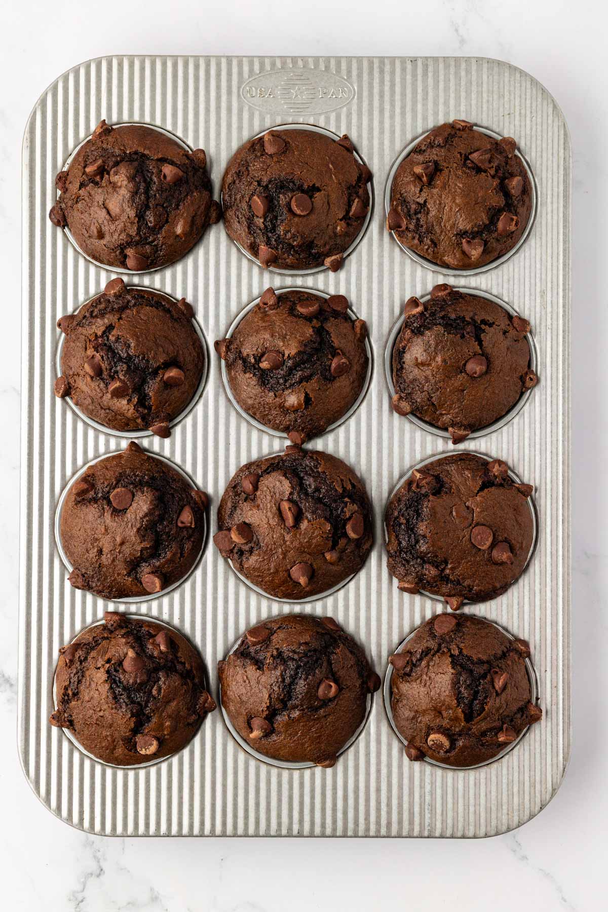 chocolate muffins in the muffin tin