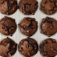 chocolate muffins in the muffin tin