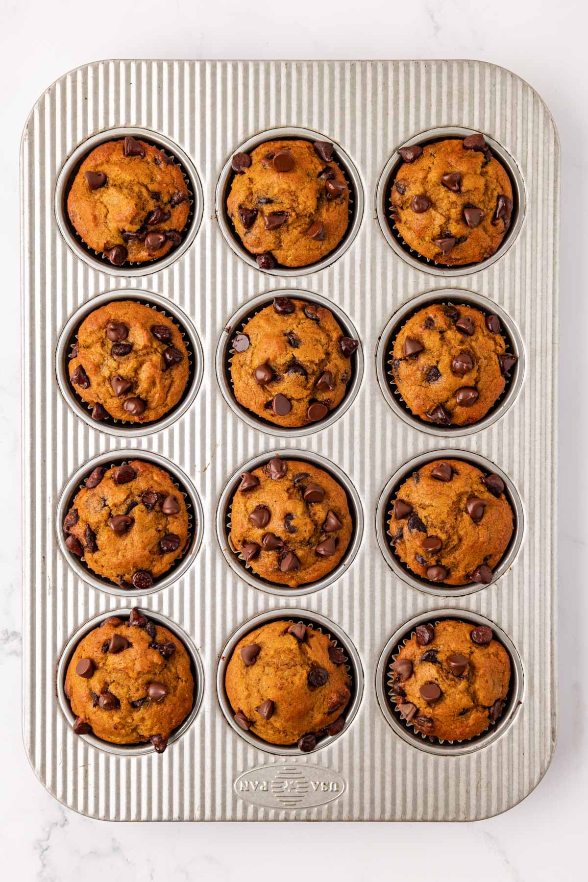 pumpkin chocolate chip muffins in the muffin tin