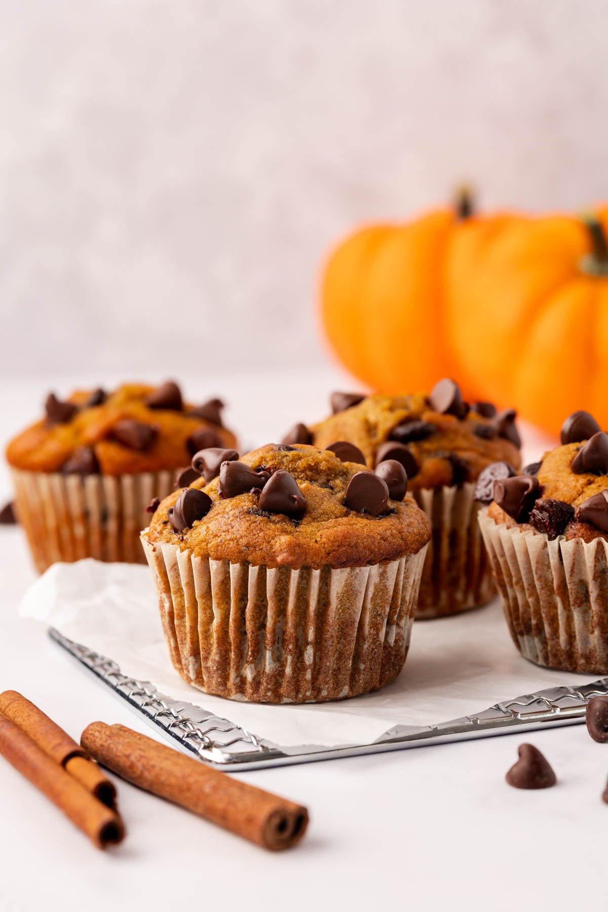 pumpkin chocolate chip muffins