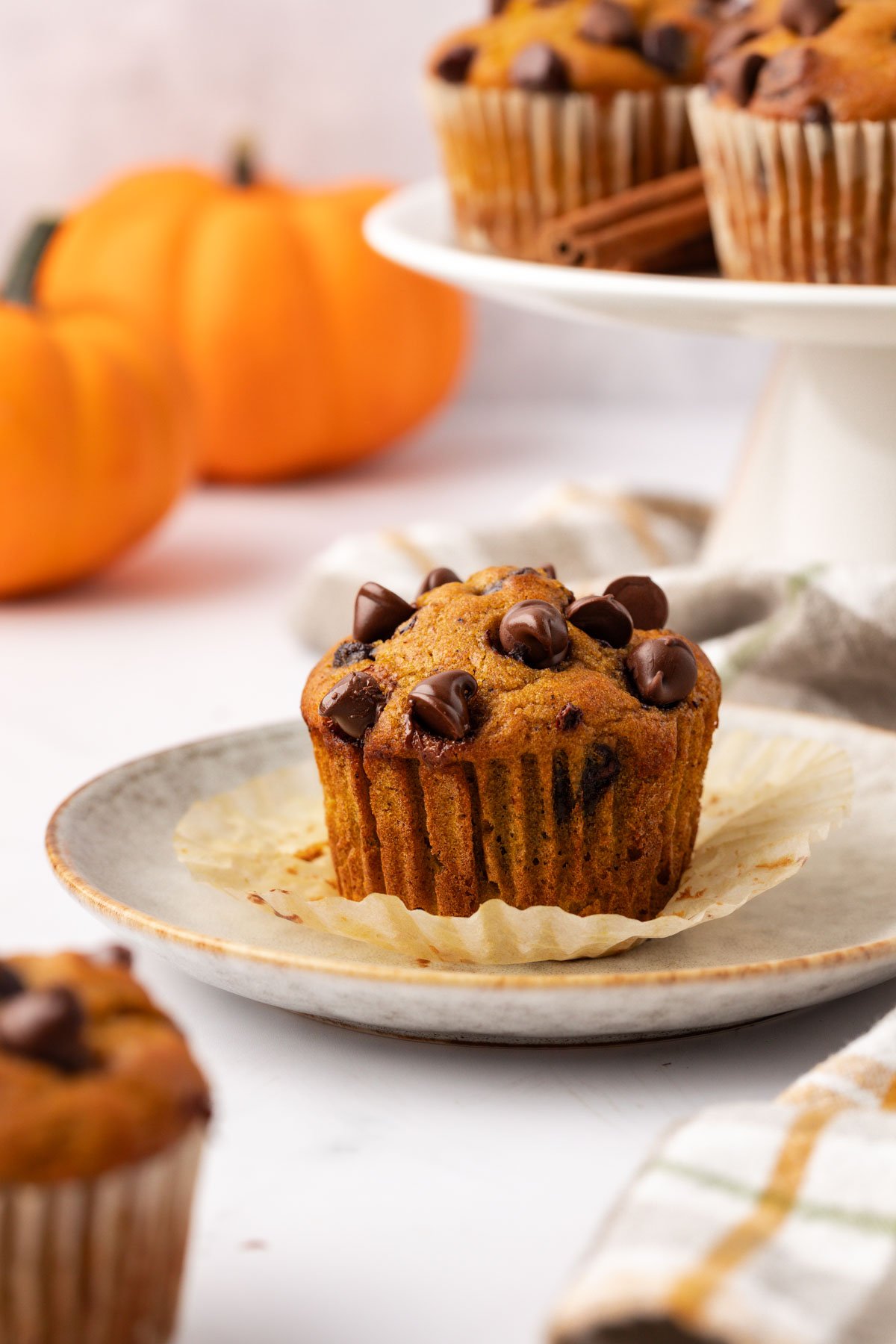 pumpkin chocolate chip muffin on a plate