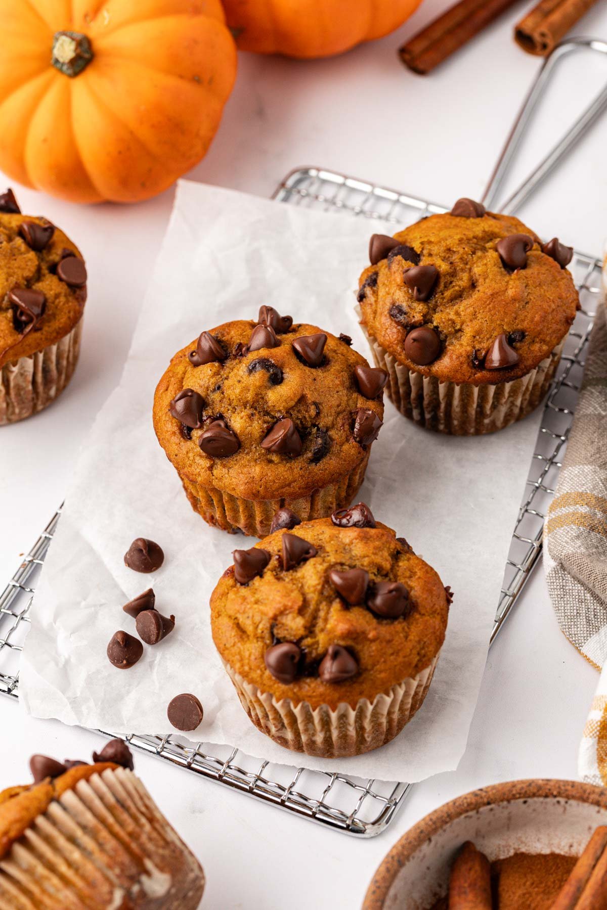 pumpkin chocolate chip muffins