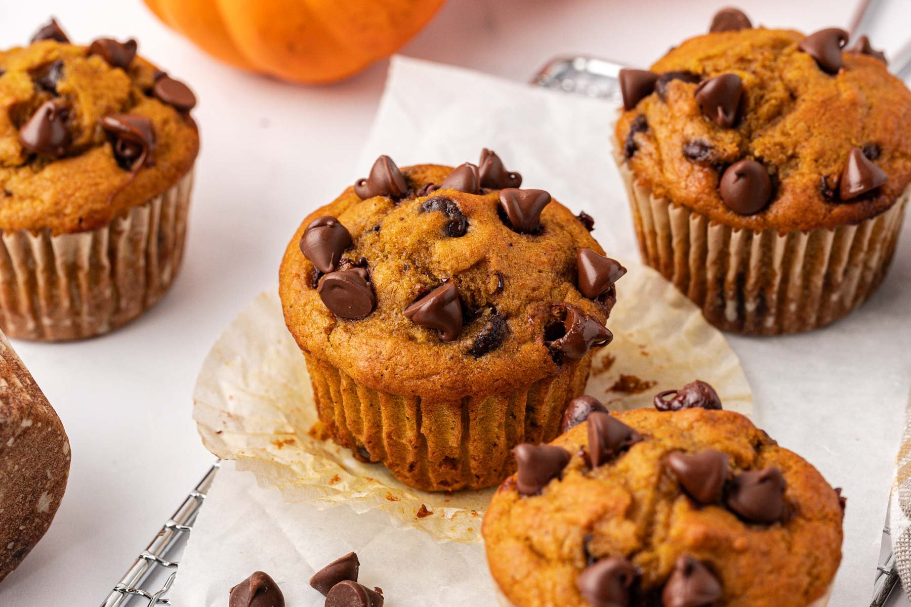 pumpkin chocolate chip muffins