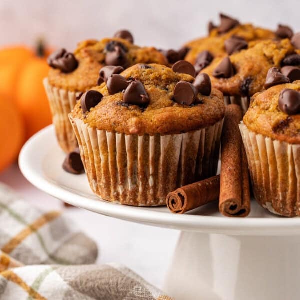 pumpkin chocolate chip muffins
