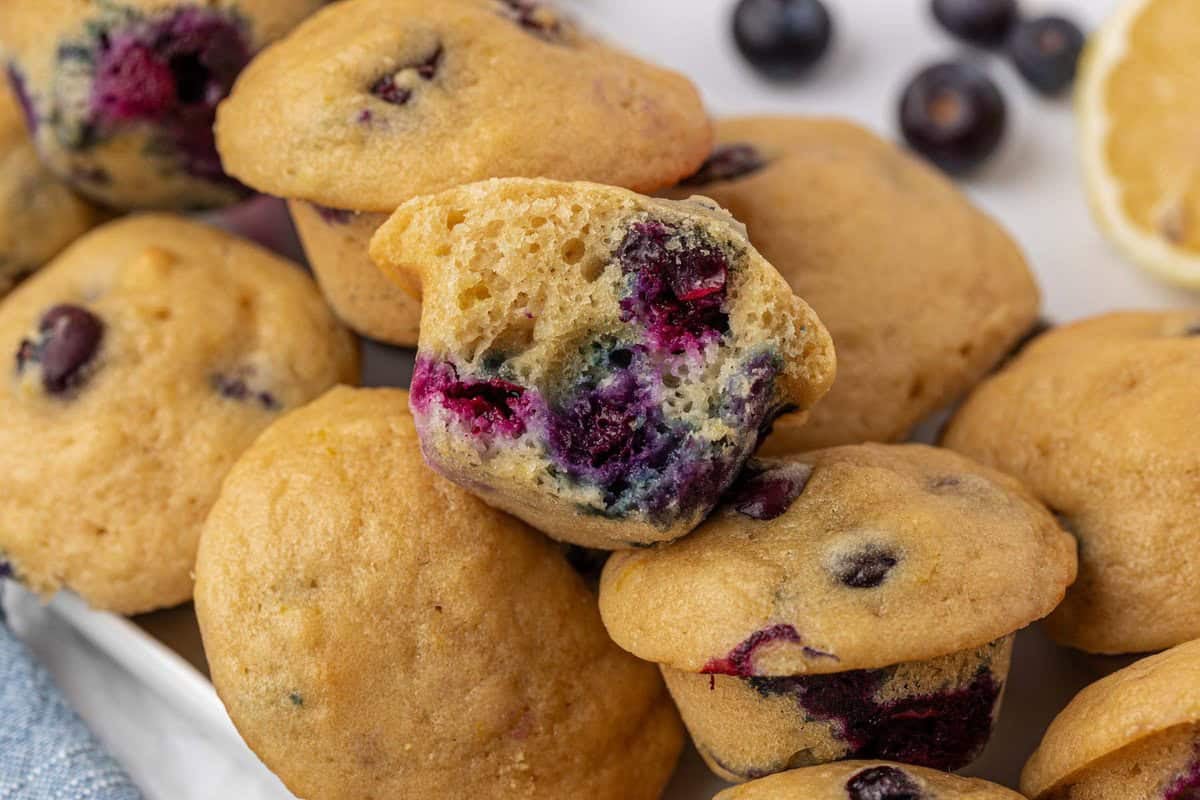 blueberry mini muffins
