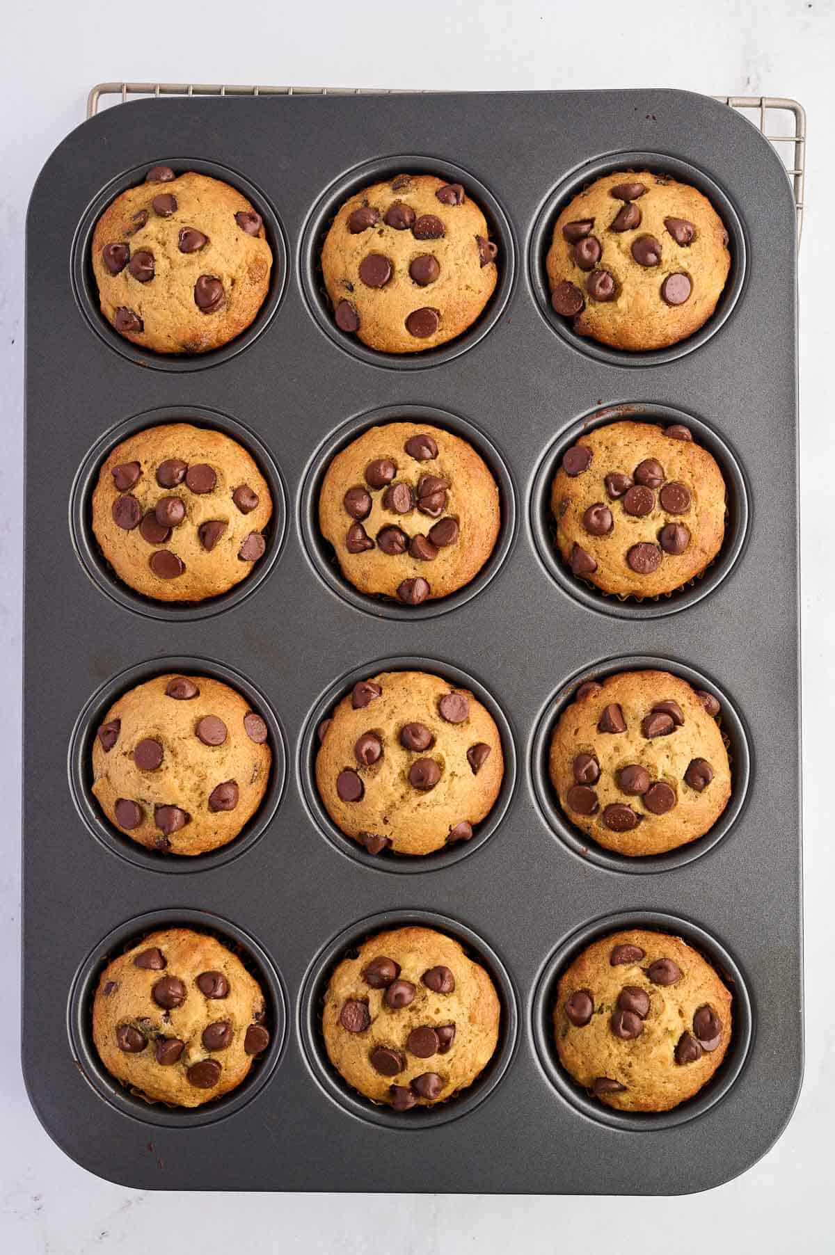 greek yogurt banana muffins in a muffin tin