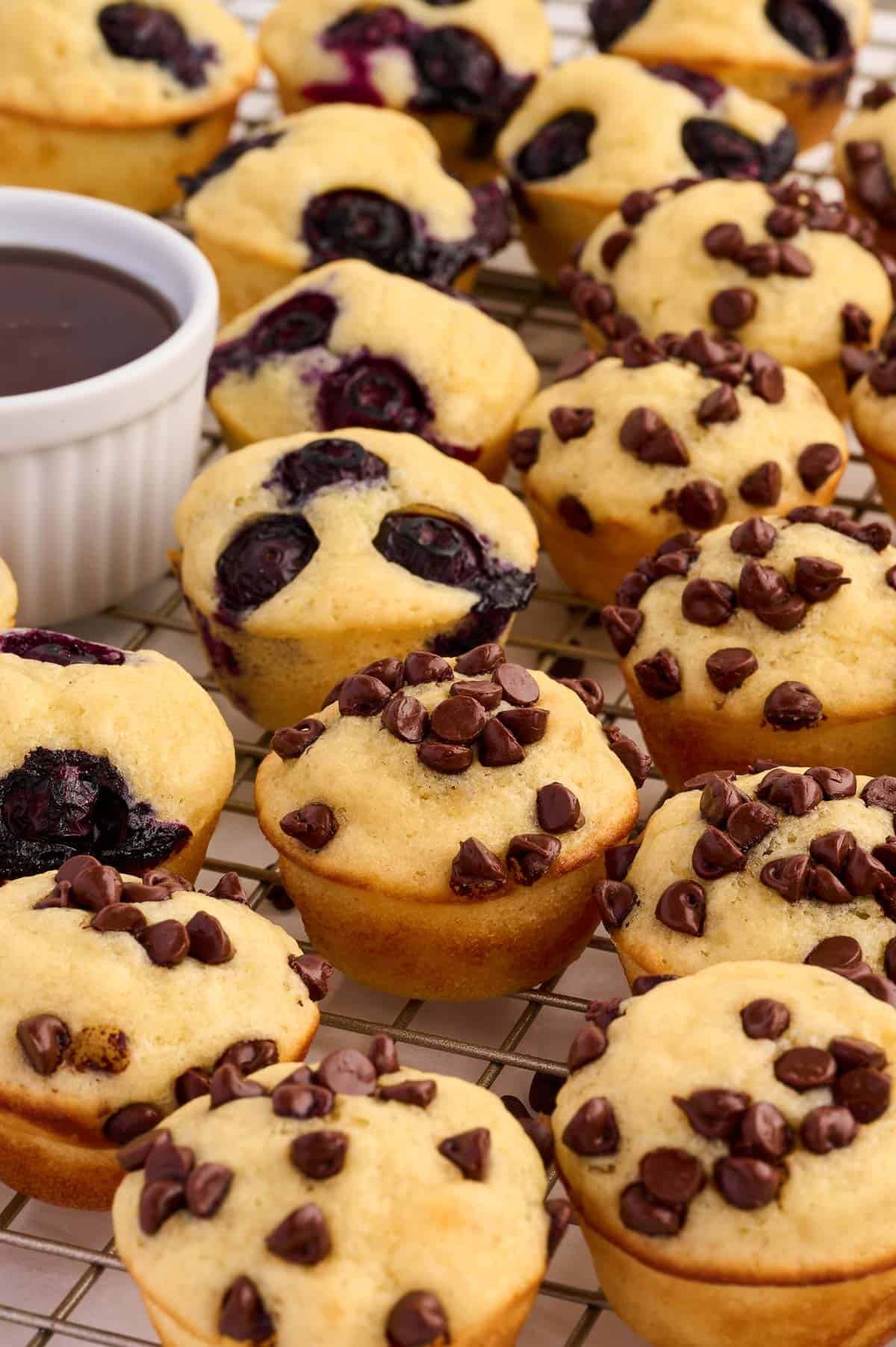 Greek yogurt pancake mini muffins