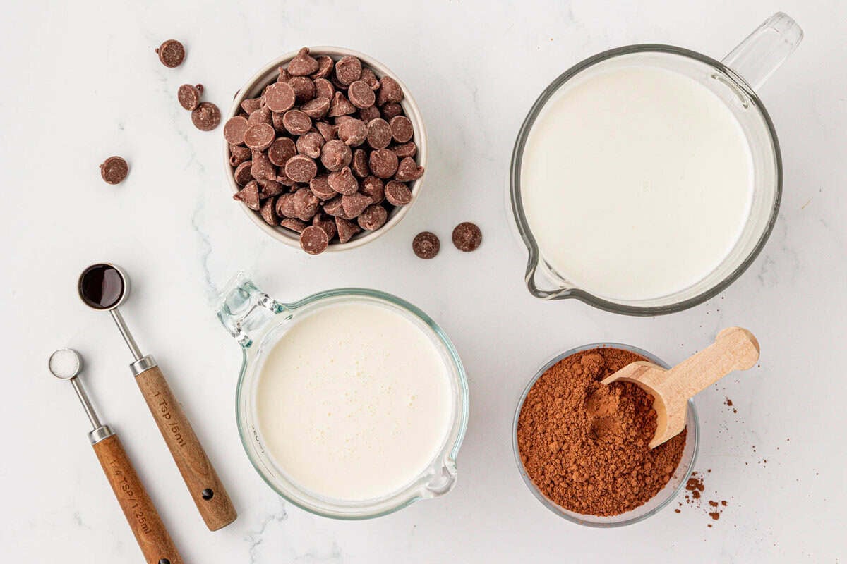 ingredients needed to make homemade hot chocolate