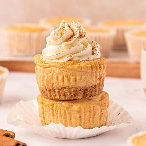no bake mini pumpkin cheesecakes topped with whipped cream